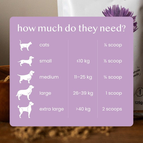 Fettle Ground Seed Milk Thistle Powder 125g