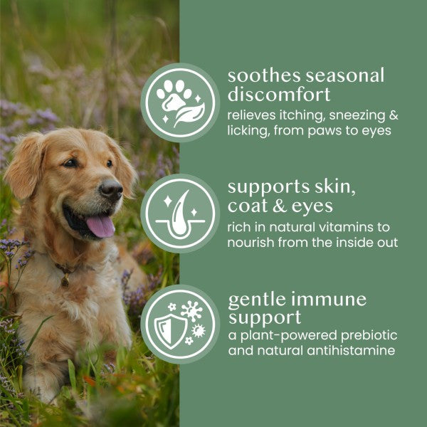 Fettle Pure and Natural Nettle Powder 125g