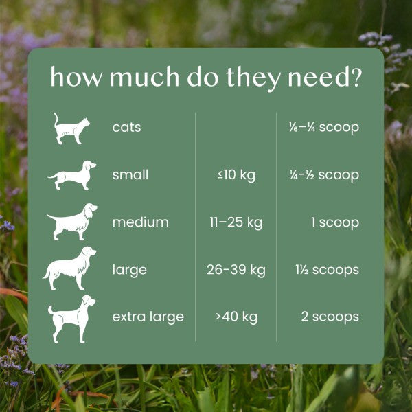 Fettle Pure and Natural Nettle Powder 125g