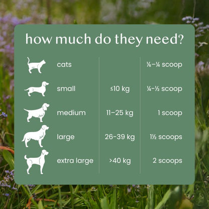 Fettle Pure and Natural Nettle Powder 125g