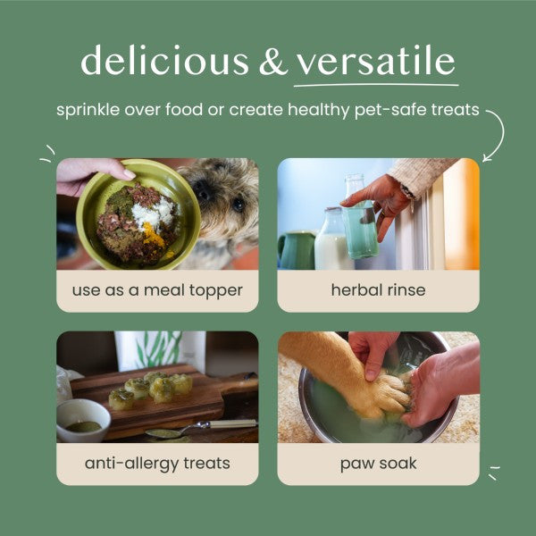 Fettle Pure and Natural Nettle Powder 125g