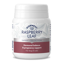 Raspberry Leaf Tablets For Dogs And Cats
