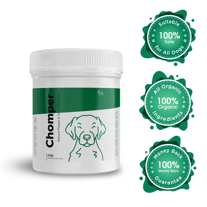 Dog's Lounge CHOMPER – Organic Tartar & Plaque Remover For Dogs & Puppies