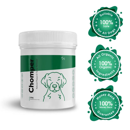 Dog's Lounge CHOMPER – Organic Tartar & Plaque Remover For Dogs & Puppies