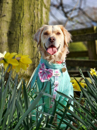 The Mint Teddy Fleece