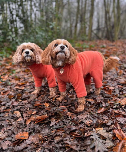 Pet Wiz Four Legged Dog Fleeces -Orange