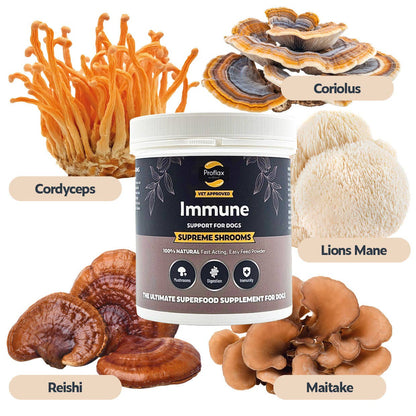 Proflax Immune Support for Dogs - Supreme Shrooms