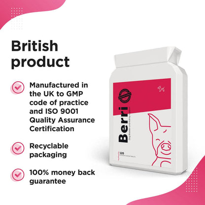 BERRI – Bladder & Kidney Cranberry Support for Dogs