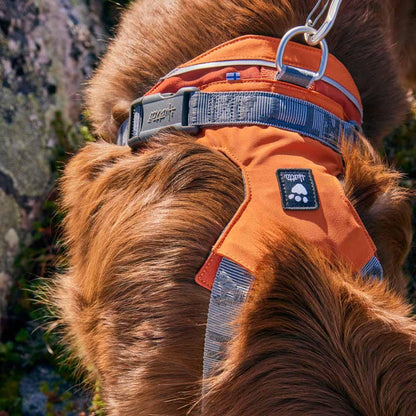 Hurtta Rover Harness Peacock Harness