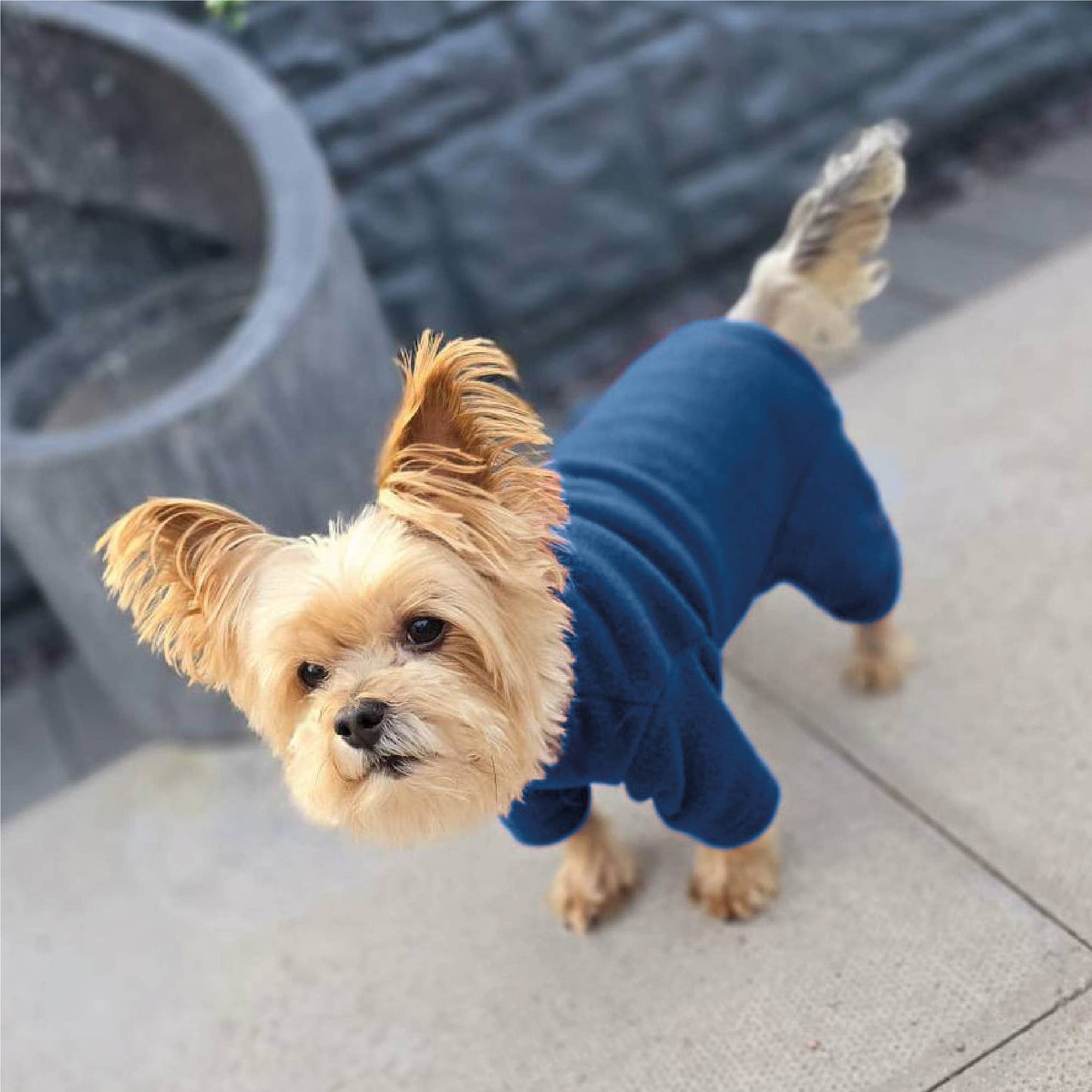 HugglePets Legacy Polar Fleece Dog Explorer: Navy
