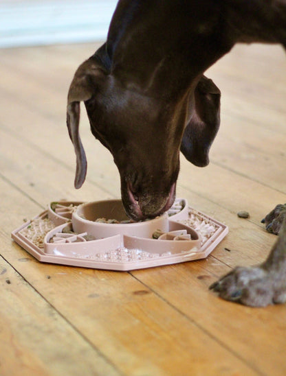 Bodhi & The Birchtree Mandala Slow Feeder In Dusky Pink