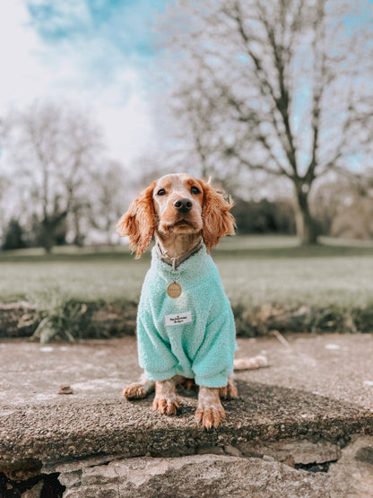 The Mint Teddy Fleece