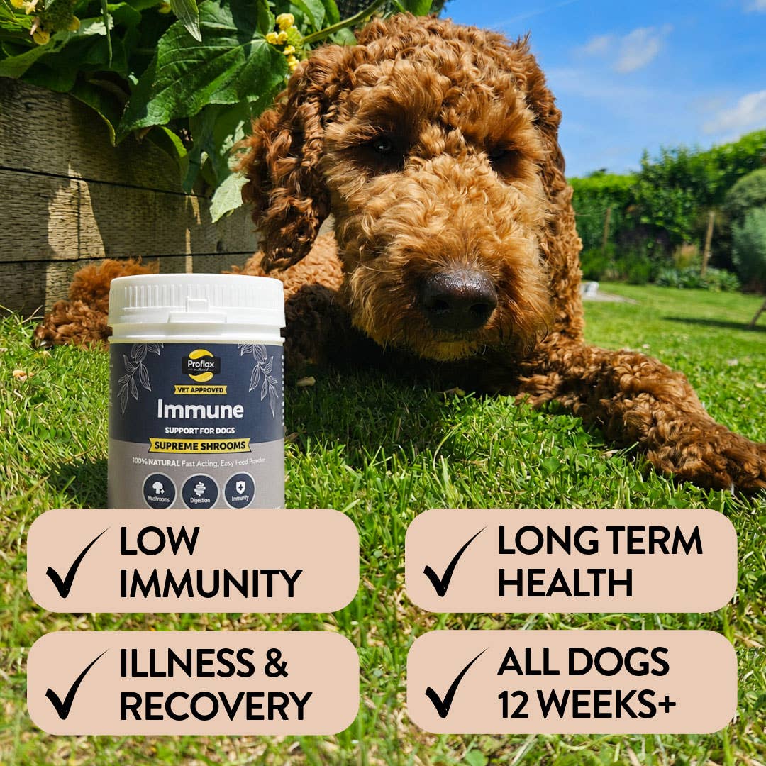 Proflax Immune Support for Dogs - Supreme Shrooms