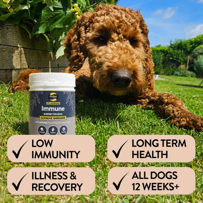 Proflax Immune Support for Dogs - Supreme Shrooms