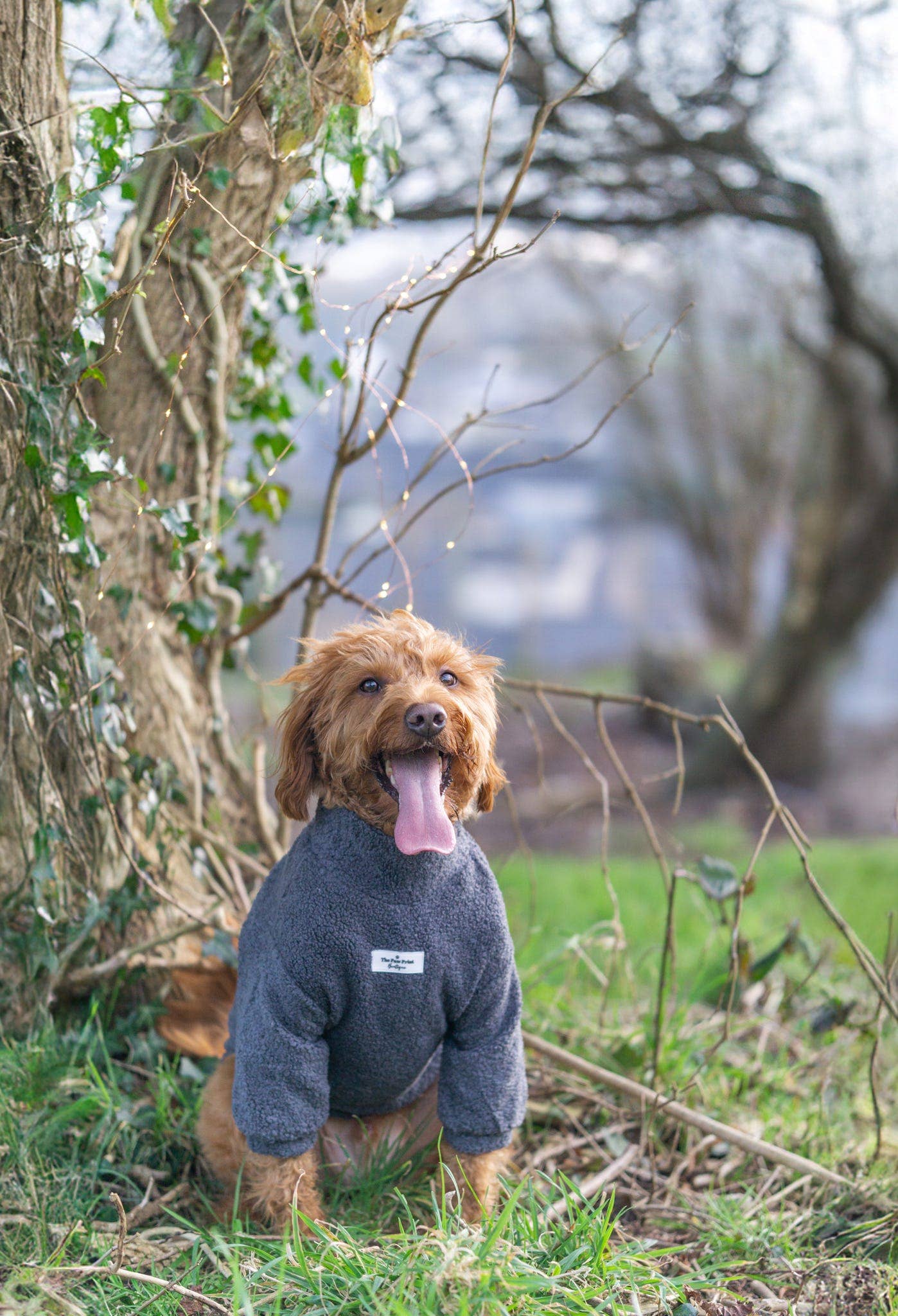 The Charcoal Grey Teddy Fleece