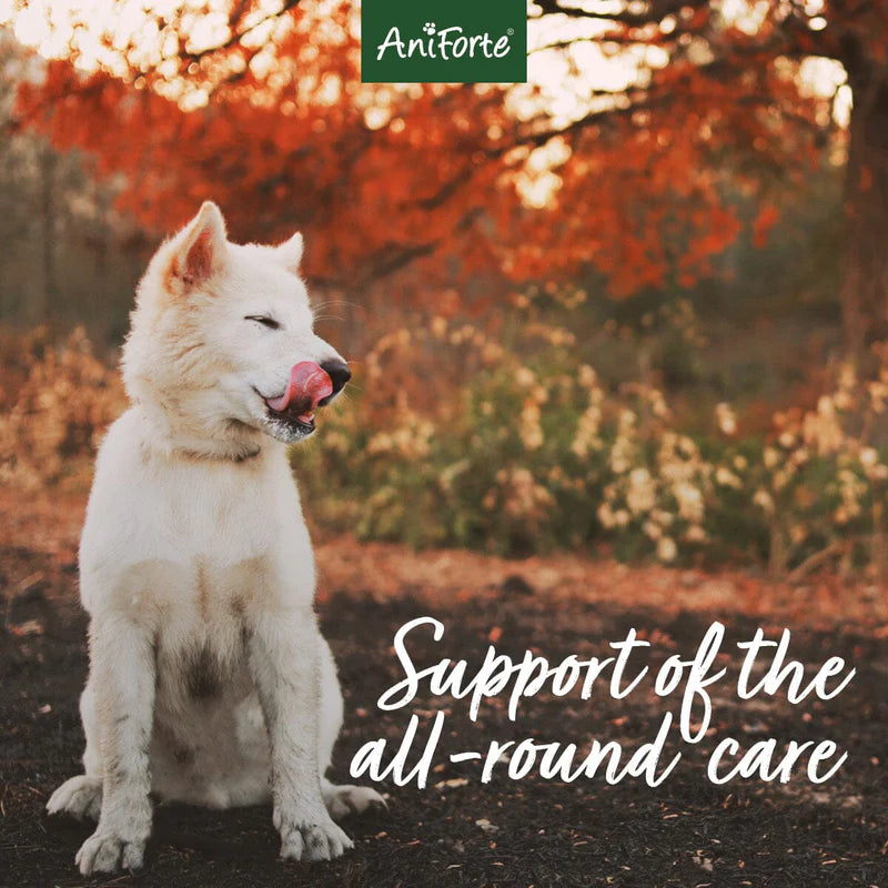 Aniforte 4in1 Complete for Dogs 250g - Advanced Health Supplement