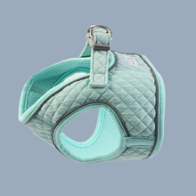 Doodlebone Dinky Dog Snappy Harness: Mint Quilt / 2