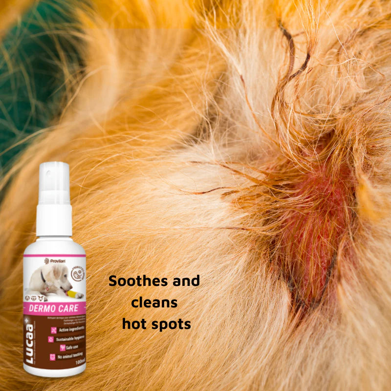 LUCAA Pet Probiotic Dermo Care - 100ml Spray