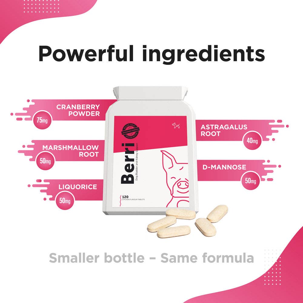 BERRI – Bladder & Kidney Cranberry Support for Dogs