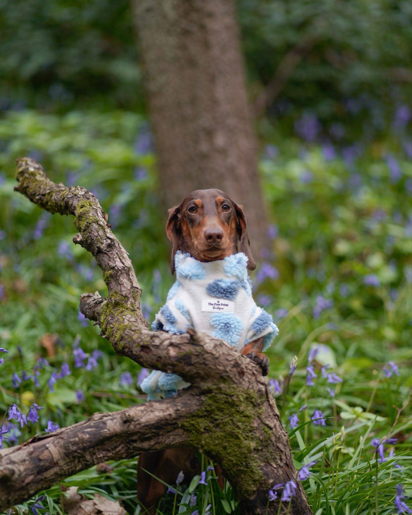 The Bluebell Blue Floral Fleece