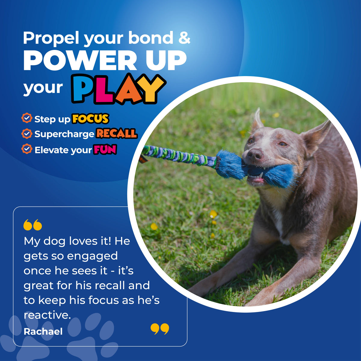 Tug E Nuff Bright Fauxtastic Tough Dog Toy