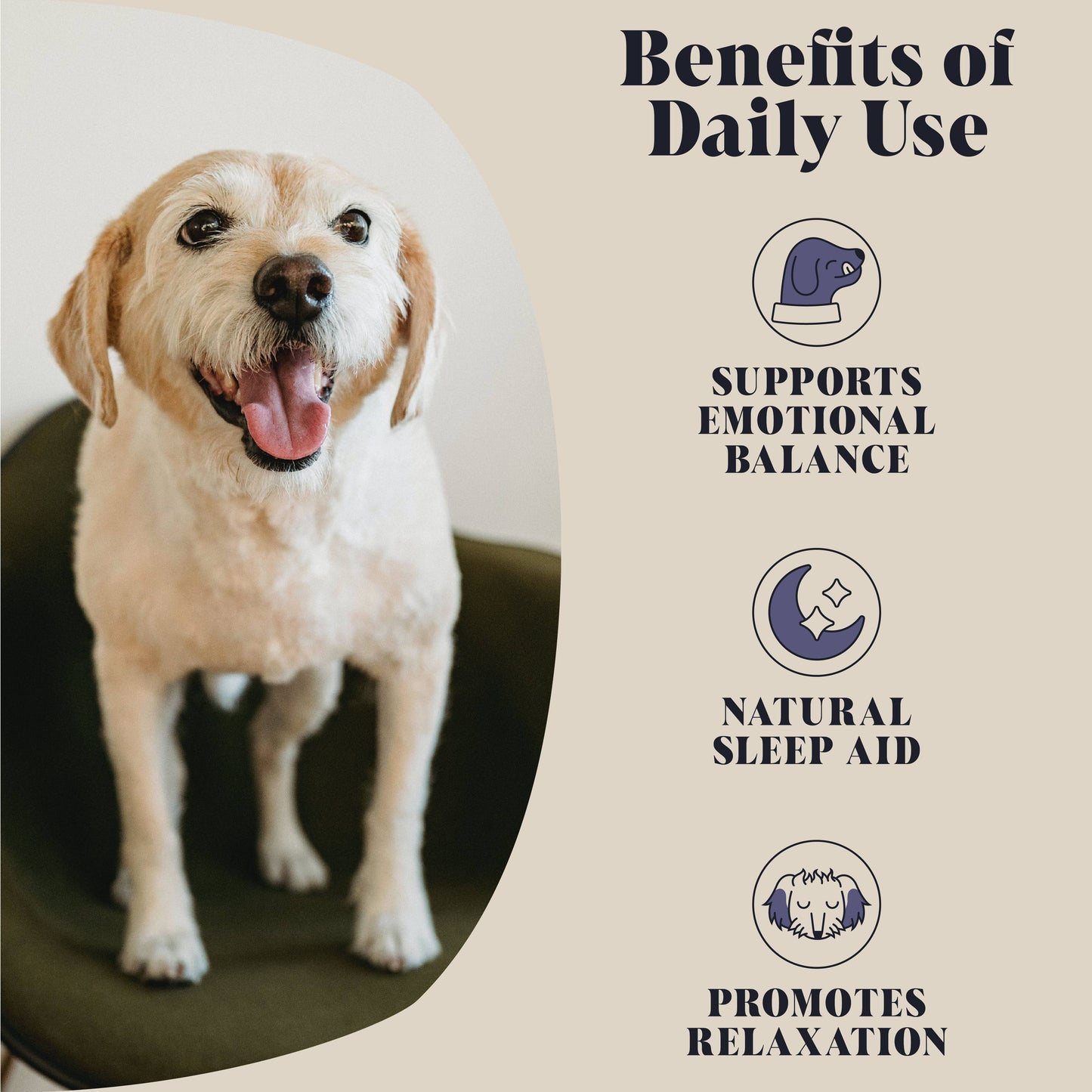 Hackney Dog House Calming Goats Milk Powder for Dogs - Makes Twelve Pints