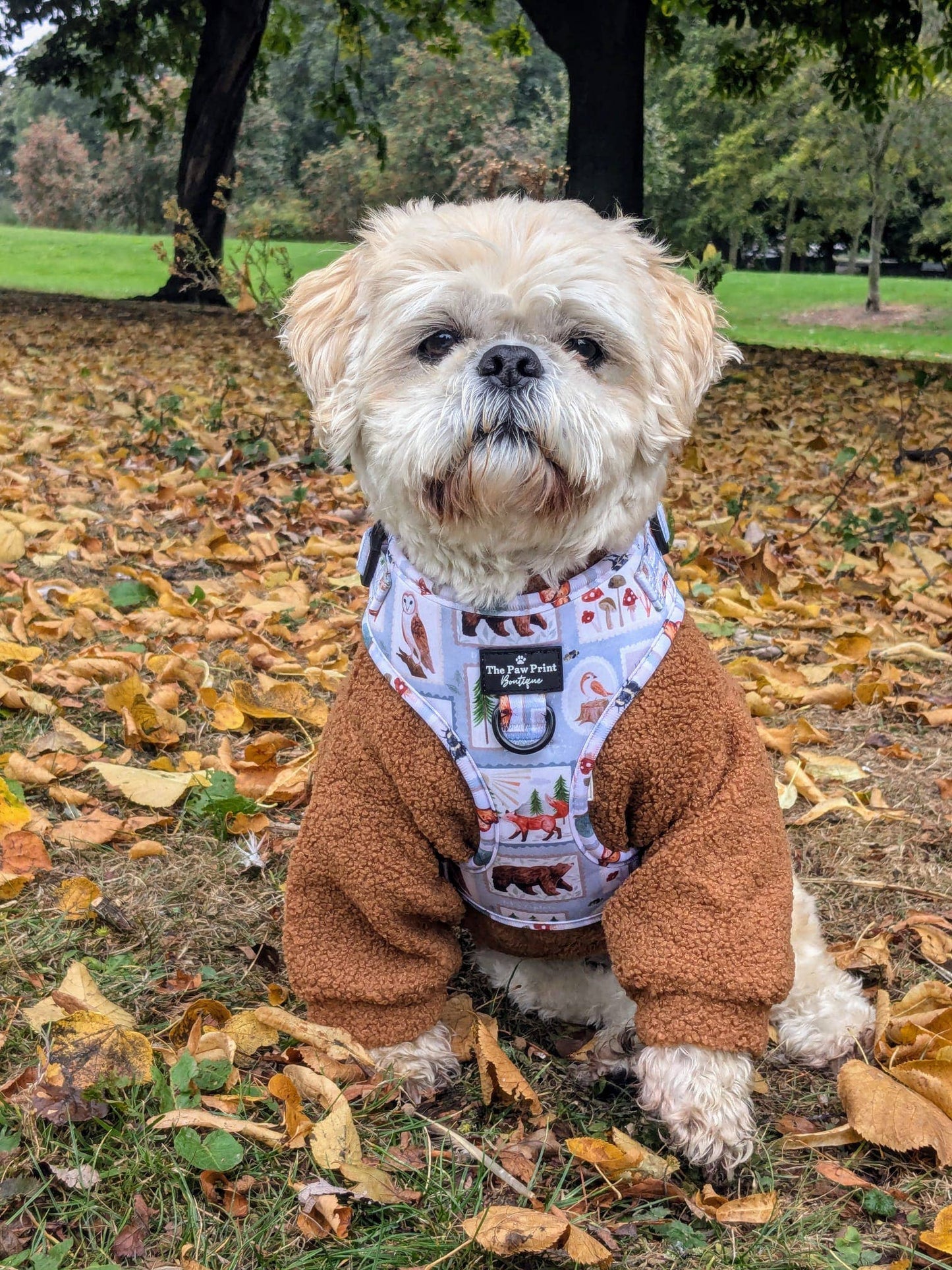 The Gingerbread Teddy Fleece