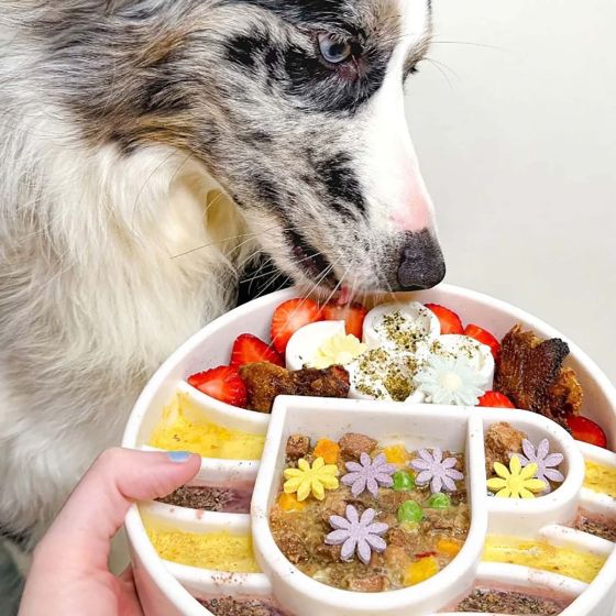 SodaPup Coffee Design eBowl Enrichment Slow Feeder Bowl for Dogs