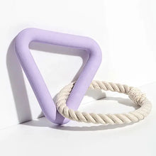 On the Run Triangle Dog Toy