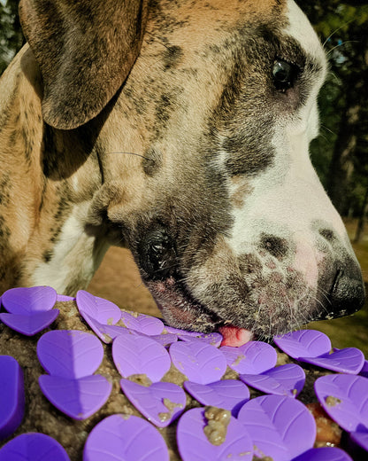 Spunky Pup Lick Pad - Slow Feeder Duos: Petal