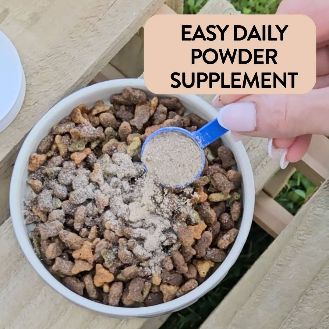 Proflax Immune Support for Dogs - Supreme Shrooms
