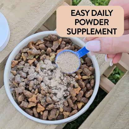 Proflax Immune Support for Dogs - Supreme Shrooms