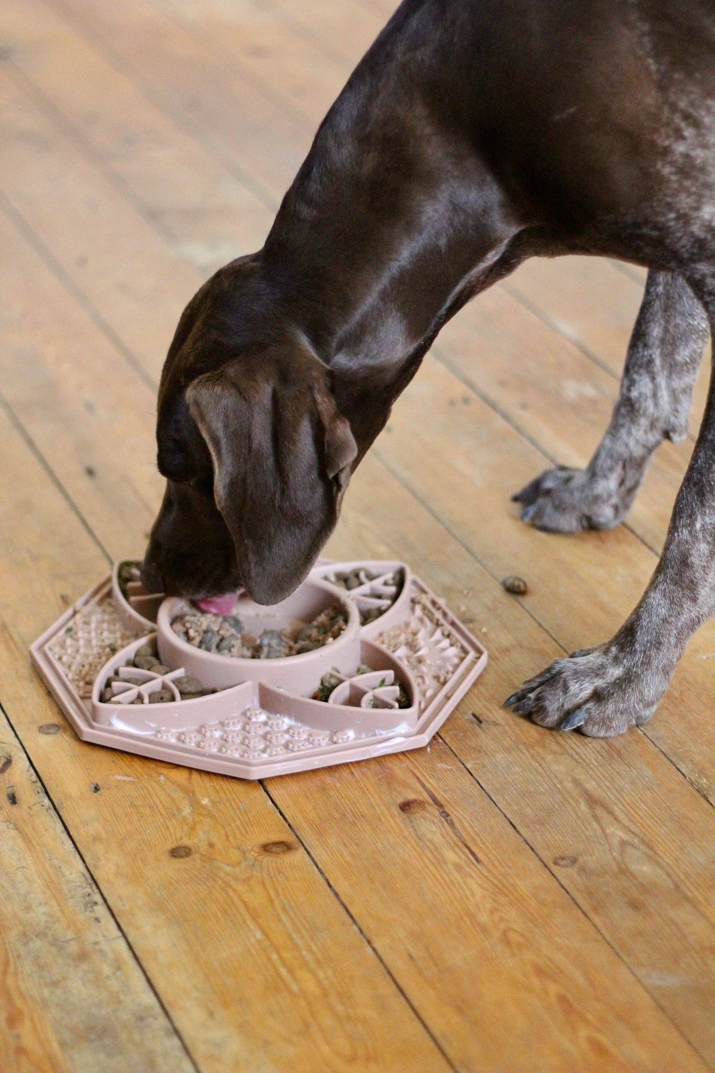 Bodhi & The Birchtree Mandala Slow Feeder In Dusky Pink
