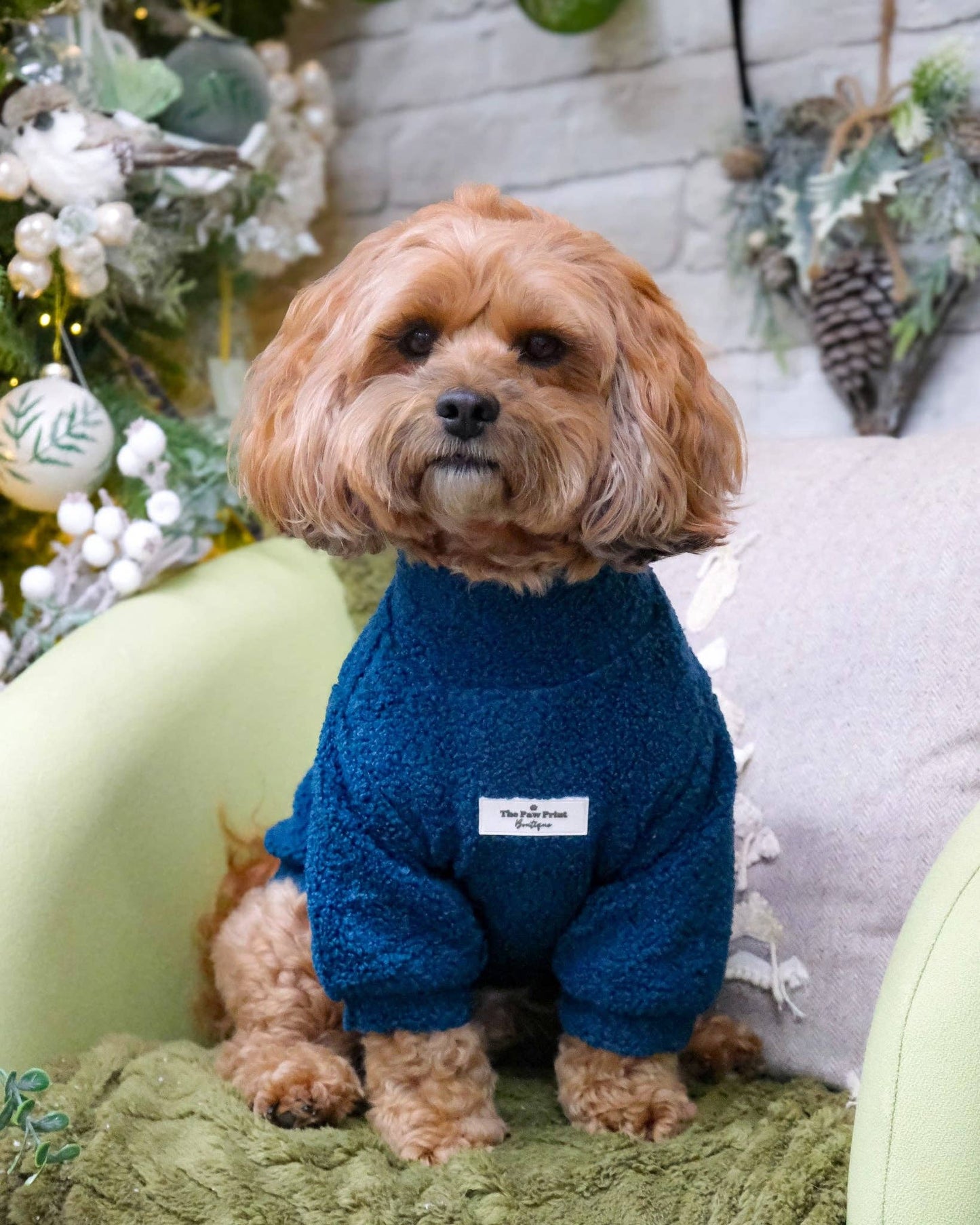 The Teal Teddy Fleece