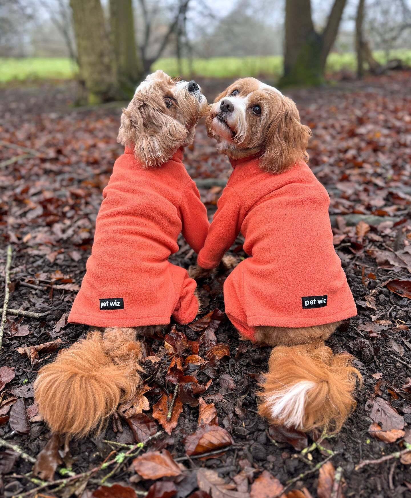 Pet Wiz Four Legged Dog Fleeces -Teal