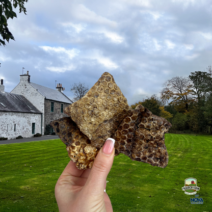Puffed Lamb Jerky 100g