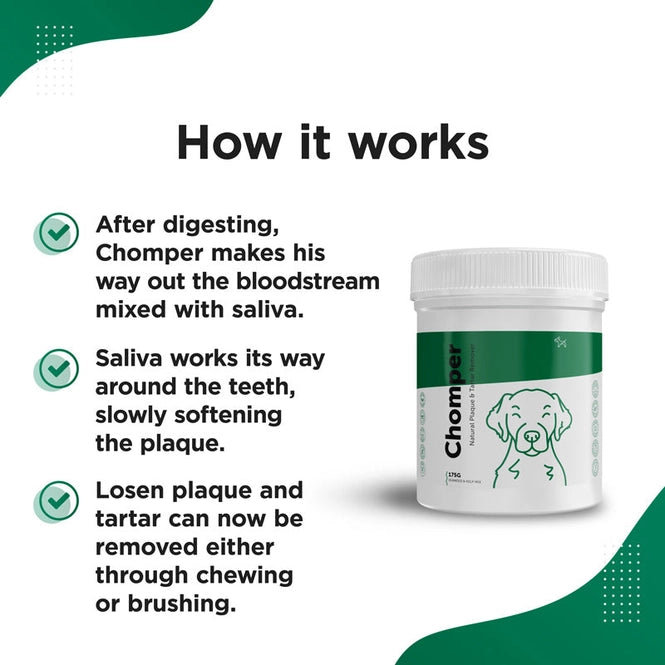 Dog's Lounge CHOMPER – Organic Tartar & Plaque Remover For Dogs & Puppies