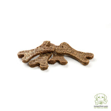 Wild Dental Bone