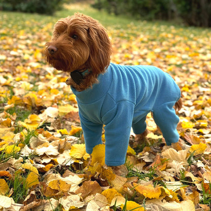 Pet Wiz Four Legged Dog Fleeces -Teal