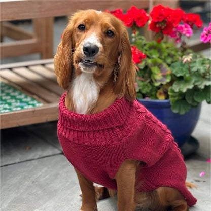 HugglePets Legacy Cable Knit Dog Jumper: Mulberry