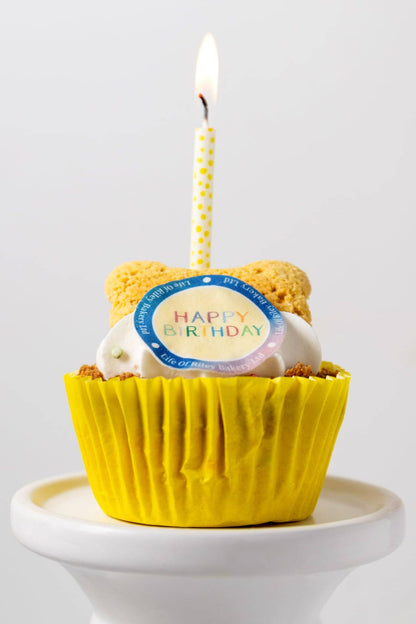 Life Of Riley Dog Birthday Pupcake Cupcake