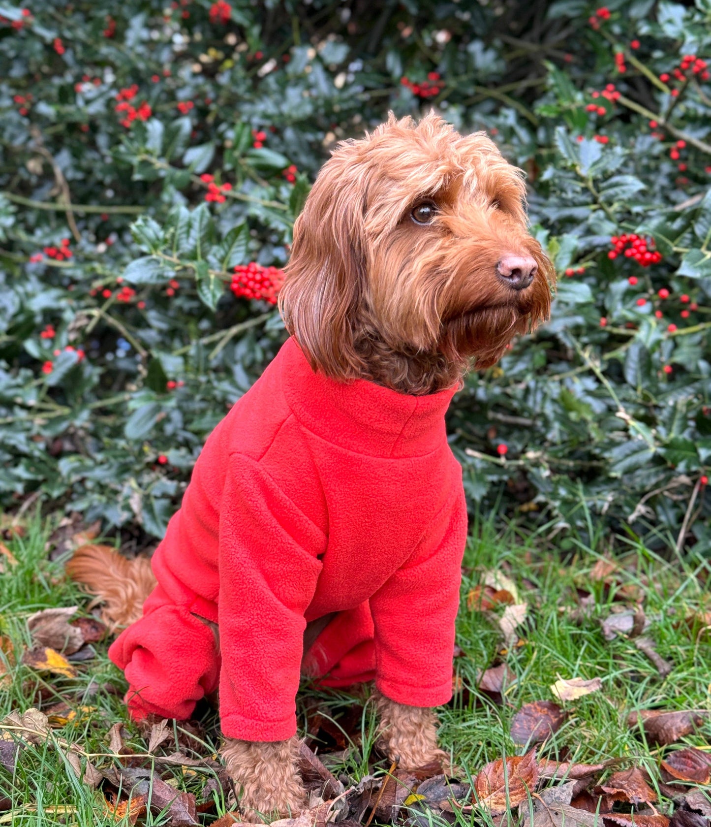 Pet Wiz Four Legged Dog Fleeces -Orange