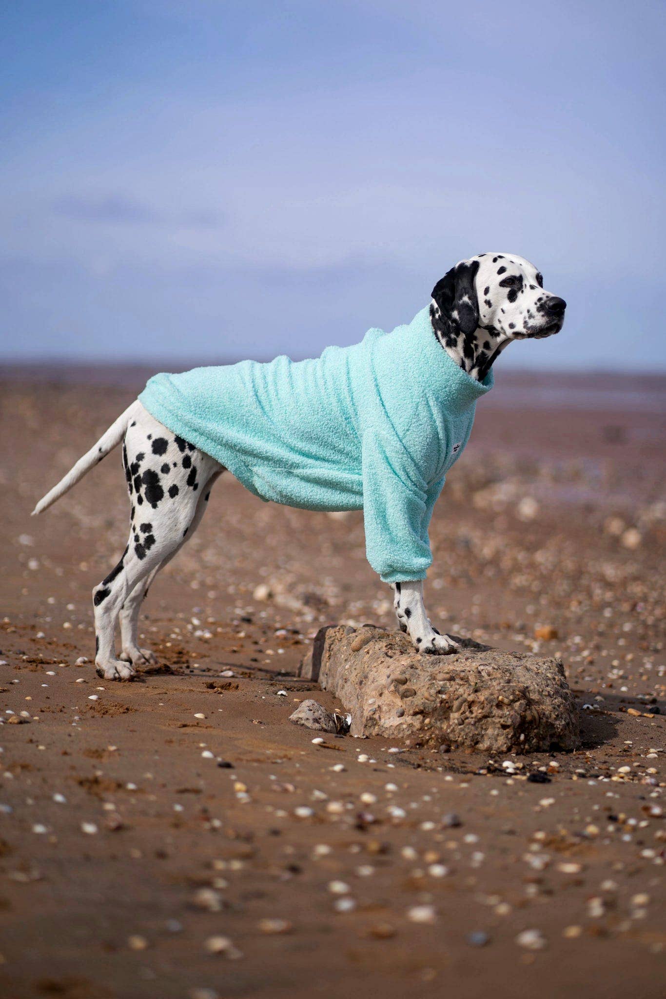 The Mint Teddy Fleece