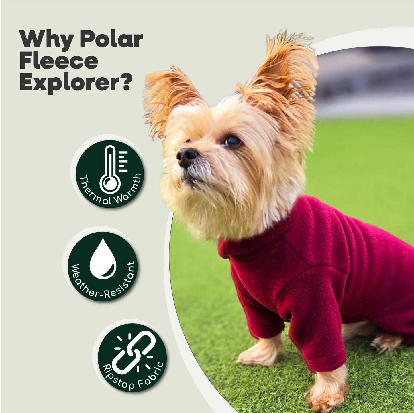 HugglePets Legacy Polar Fleece Dog Explorer: Mulberry