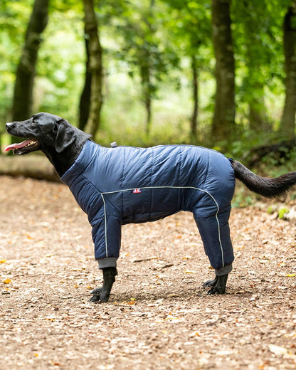 Hugo & Hudson Outdoor Winter Dog Suit - Navy