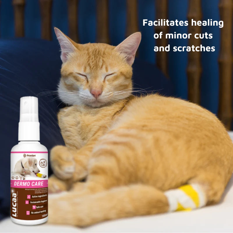 LUCAA Pet Probiotic Dermo Care - 100ml Spray