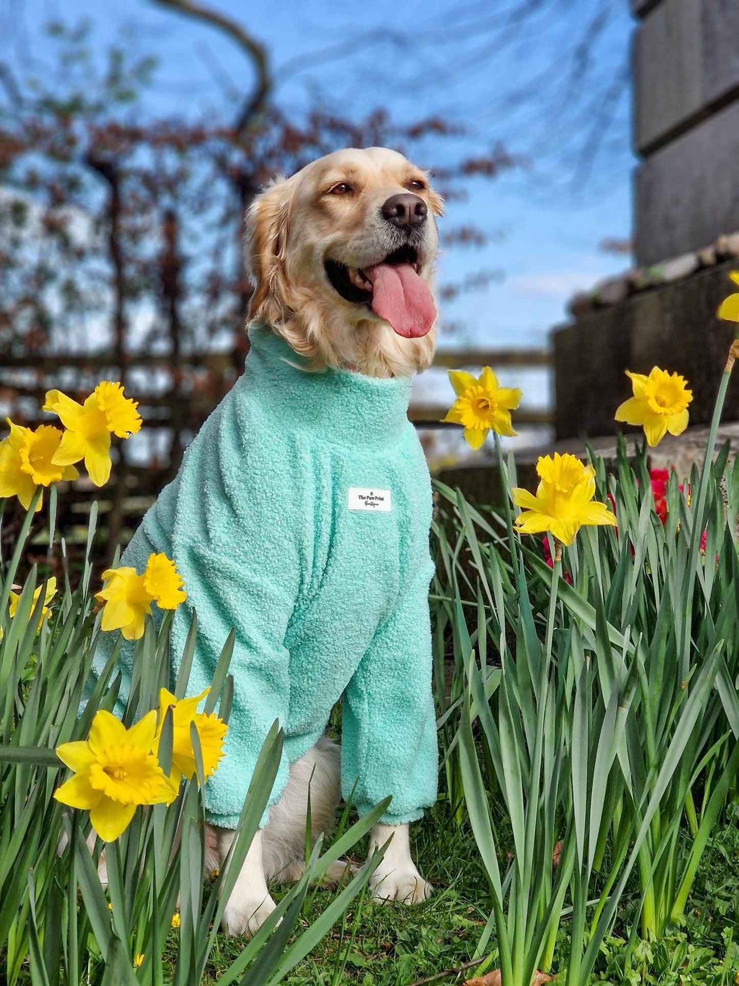 The Mint Teddy Fleece