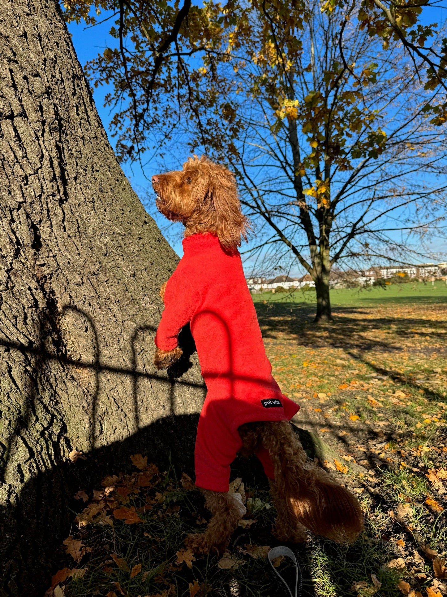 Pet Wiz Four Legged Dog Fleeces -Teal