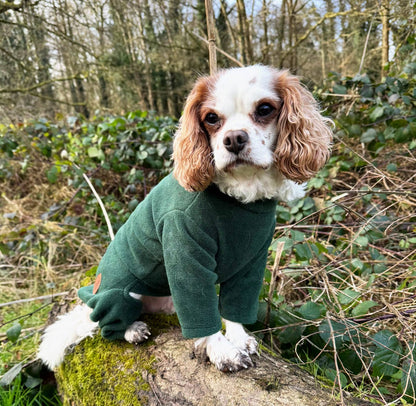 HugglePets Legacy Polar Fleece Dog Explorer: Khaki