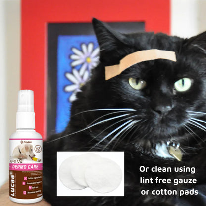 LUCAA Pet Probiotic Dermo Care - 100ml Spray